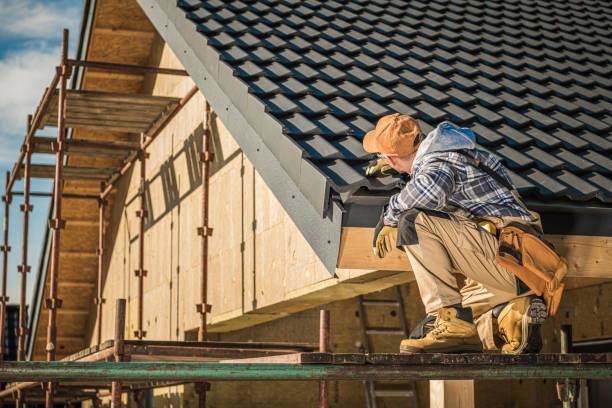 Best Metal Roofing Installation  in Appleton, MN