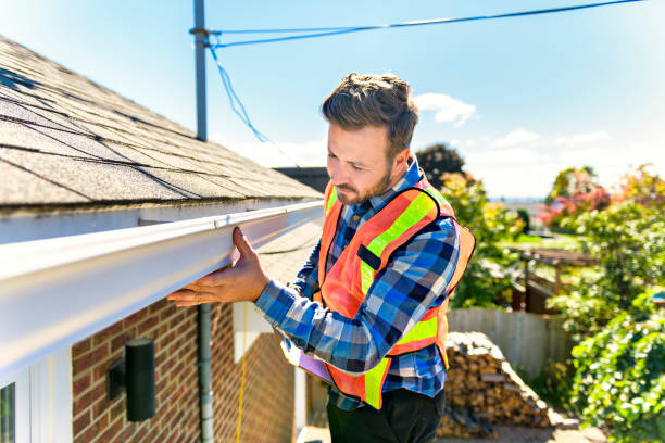 Best Gutter Installation and Repair  in Appleton, MN